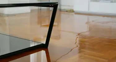 Call Mint Plumbing For slab leak detection Service